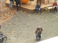 DSCN8079.JPG