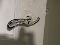 DSCN8209.JPG