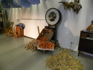 DSCN7854.JPG