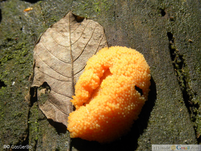 dscn7109.jpg