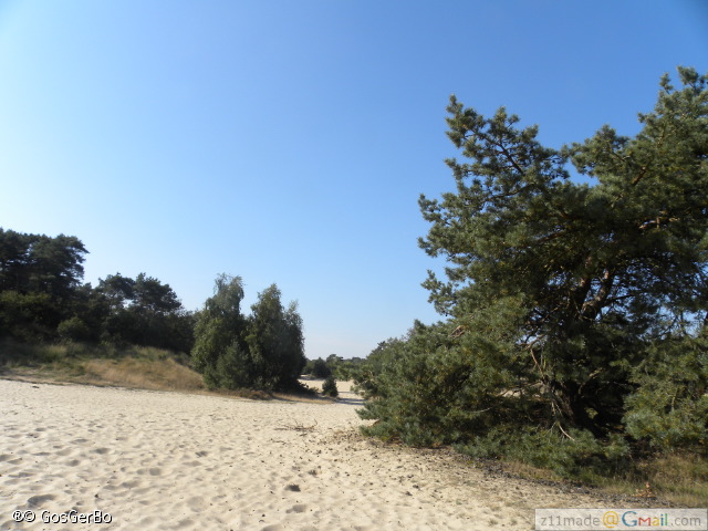 dscn7114.jpg