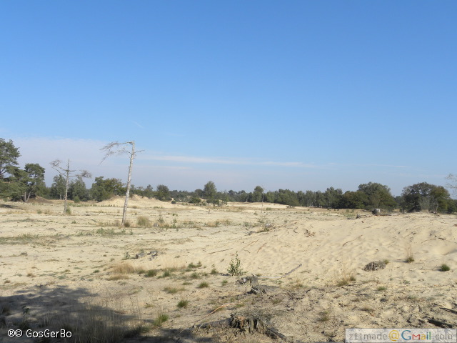dscn7120.jpg