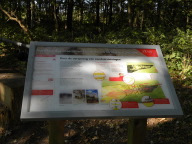 DSCN7095.JPG
