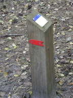 DSCN7098.JPG