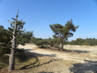 DSCN7118.JPG