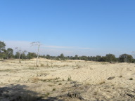 DSCN7120.JPG