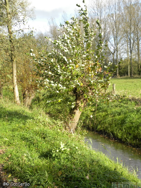 dscn8387.jpg
