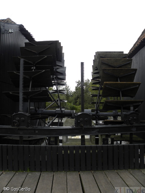 dscn8405.jpg