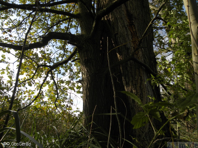 dscn8442.jpg