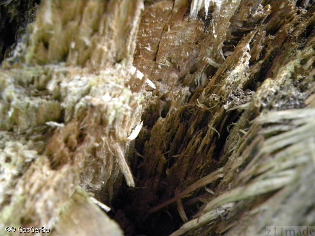 dscn8447.jpg