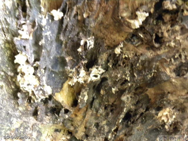dscn8451.jpg