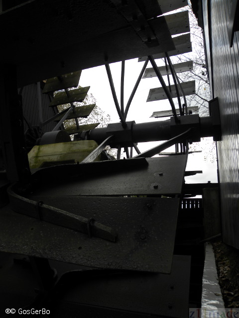 dscn8516.jpg
