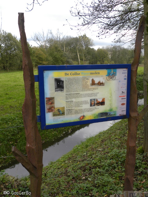 dscn8529.jpg