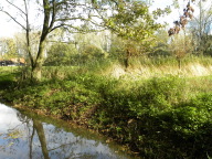 DSCN8389.JPG