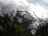 DSCN8393.JPG