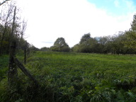 DSCN8397.JPG