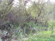 DSCN8399.JPG