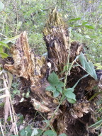 DSCN8443.JPG
