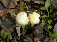 DSCN8460.JPG