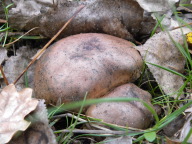 DSCN8500.JPG
