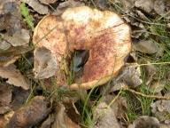 DSCN8502.JPG