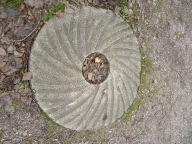 DSCN8504.JPG