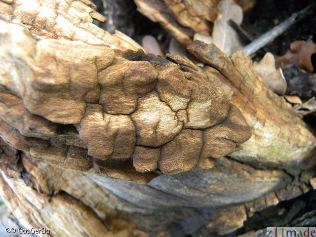 dscn9740.jpg