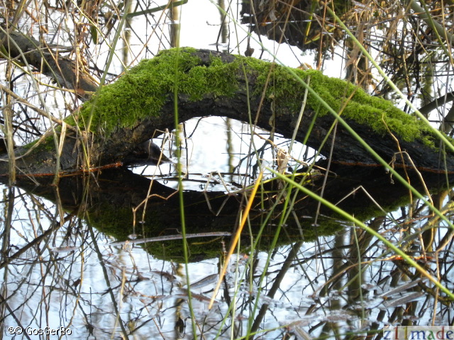 dscn9764.jpg