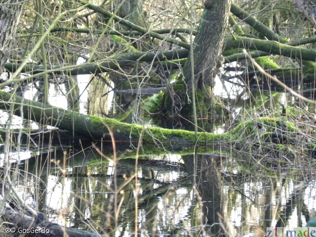 dscn9768.jpg