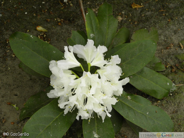 dscn3189.jpg