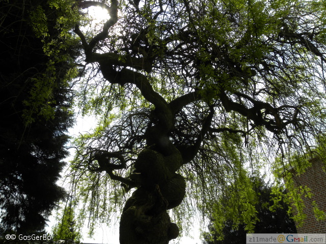 dscn3195.jpg