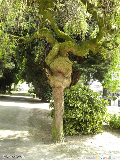 dscn3197.jpg
