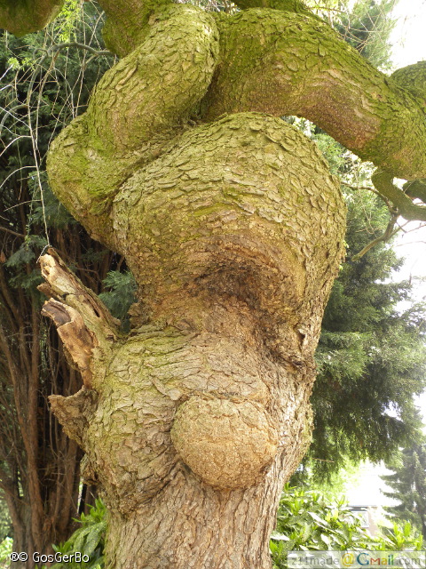 dscn3199.jpg