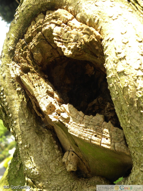 dscn3205.jpg