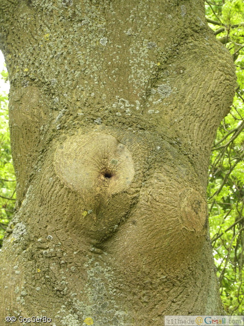 dscn3236.jpg