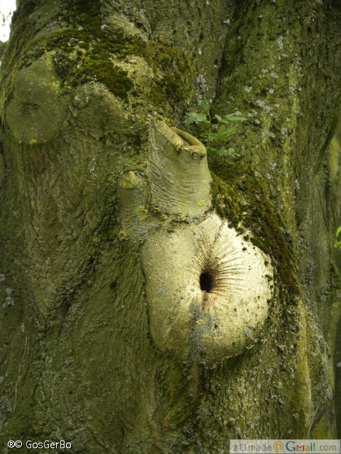 dscn3239.jpg
