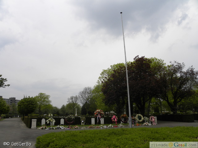 dscn3254.jpg