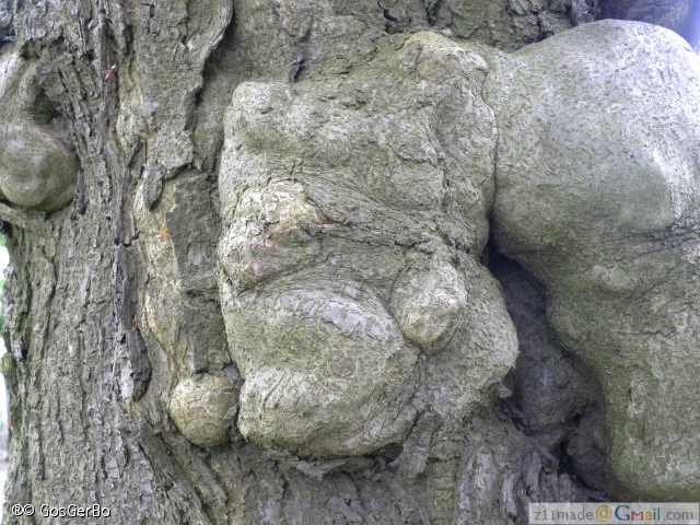 dscn3256.jpg