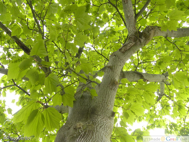 dscn3259.jpg