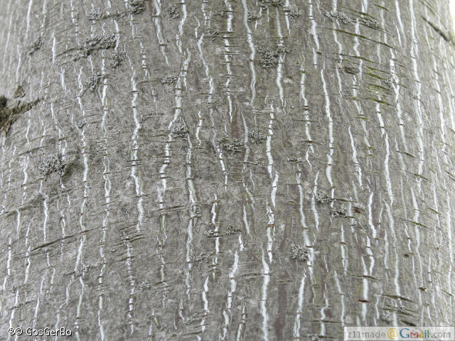 dscn3260.jpg