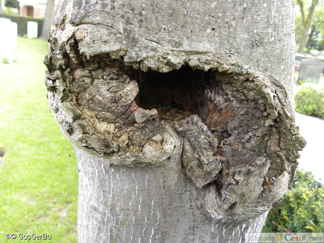 dscn3261.jpg
