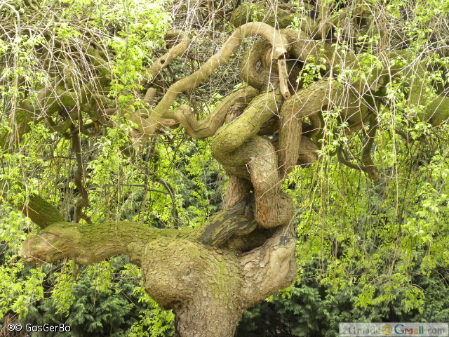 dscn3263.jpg