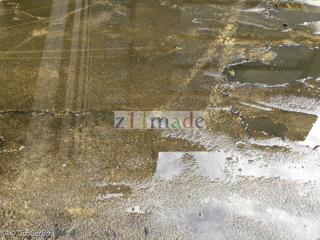 dscn6726.jpg