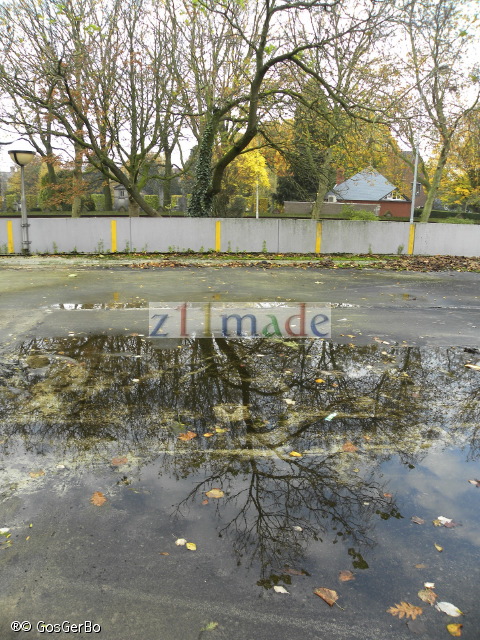 dscn6729.jpg