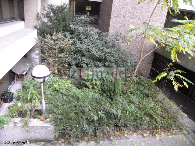 dscn6745.jpg