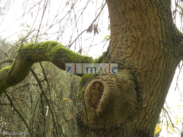 dscn6756.jpg