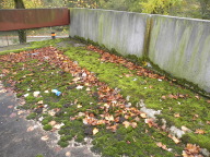 DSCN6731.JPG
