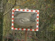 DSCN6733.JPG