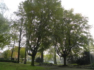 DSCN6741.JPG