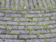 DSCN6743.JPG
